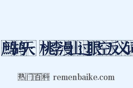 鹧鸪天·桃李漫山过眼空反义词是什么意思的图片